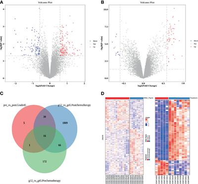 Identification of Immune-Related Breast Cancer <mark class="highlighted">Chemotherapy Resistance</mark> Genes via Bioinformatics Approaches